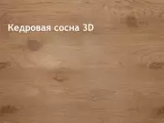 kedrovaya-sosna-3d