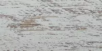 printech-kamennaya-bereza